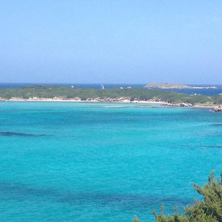 Grand Studio Route Des Sanguinaires Tres Belle Vue Mer Daire Ajaccio  Dış mekan fotoğraf