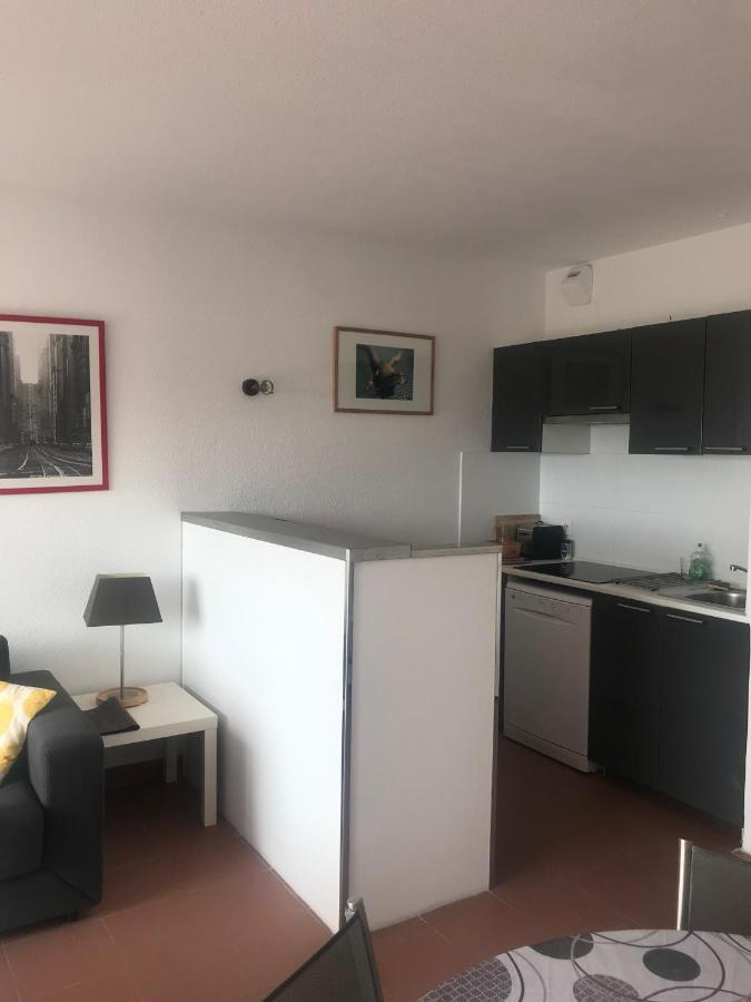 Grand Studio Route Des Sanguinaires Tres Belle Vue Mer Daire Ajaccio  Dış mekan fotoğraf
