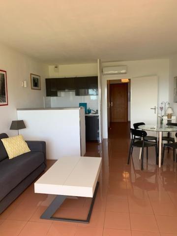 Grand Studio Route Des Sanguinaires Tres Belle Vue Mer Daire Ajaccio  Dış mekan fotoğraf